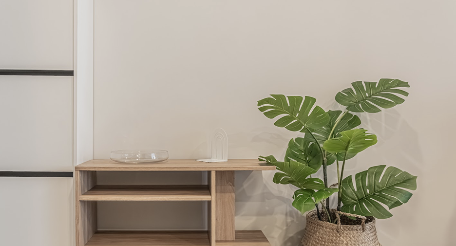 For rent 1 bed condo in Phra Khanong, Bangkok