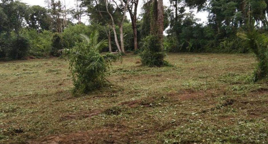 For sale land in Thalang, Phuket
