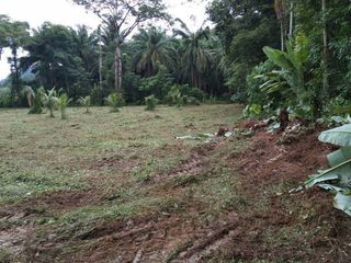 For sale land in Thalang, Phuket