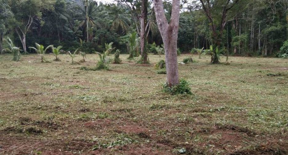 For sale land in Thalang, Phuket