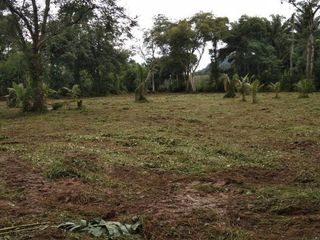 For sale land in Thalang, Phuket