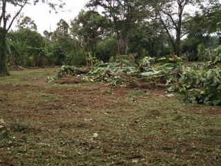 For sale land in Thalang, Phuket