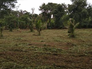 For sale land in Thalang, Phuket