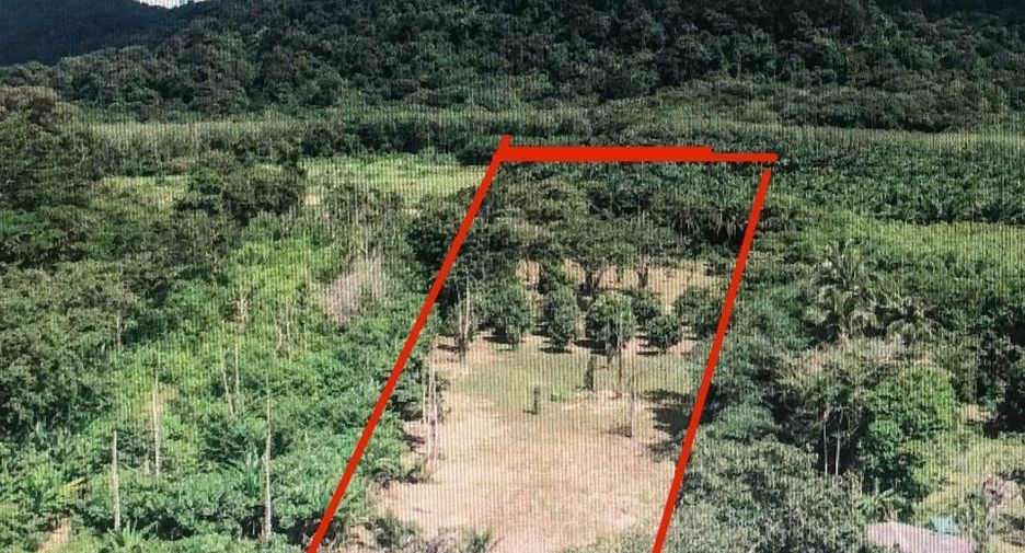 For sale land in Thalang, Phuket