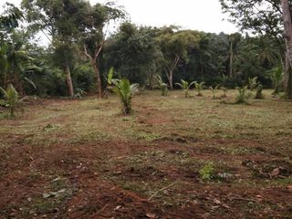 For sale land in Thalang, Phuket