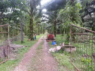 Продажа Участок в Khura Buri, Пханга