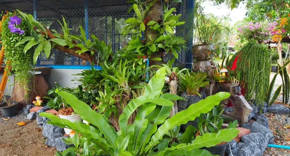 For rent 2 bedrooms villa in Mueang Phuket, Phuket