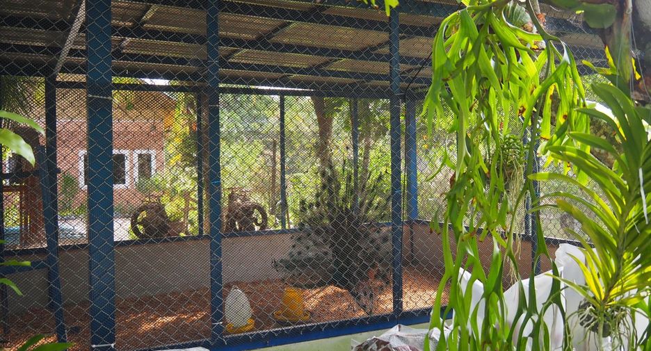 For rent 2 bedrooms villa in Mueang Phuket, Phuket