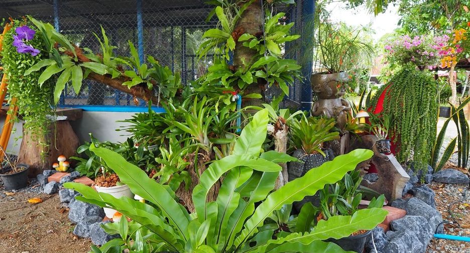 For rent 2 ベッドルーム villa in Mueang Phuket, Phuket