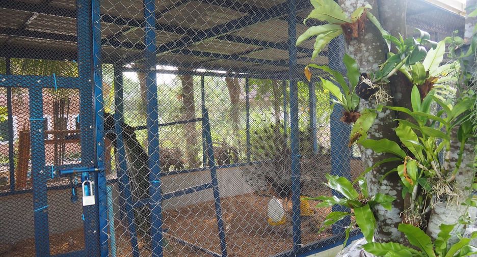 For rent 2 bedrooms villa in Mueang Phuket, Phuket