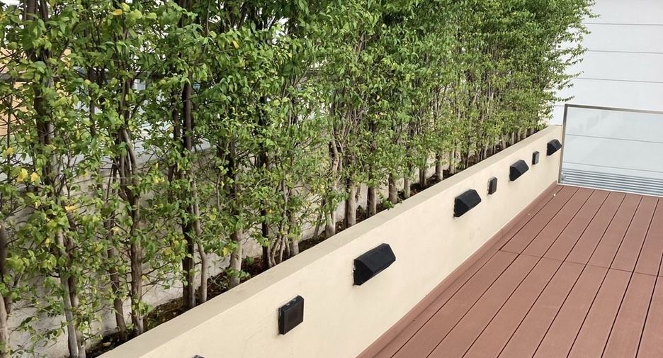 For sale and for rent 3 bedrooms townhouse in Watthana, Bangkok