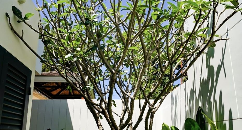 For rent 3 bedrooms villa in Mueang Phuket, Phuket