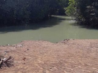 ขาย ที่ดิน ใน เมืองภูเก็ต, ภูเก็ต