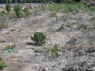 ขาย ที่ดิน ใน เมืองภูเก็ต, ภูเก็ต