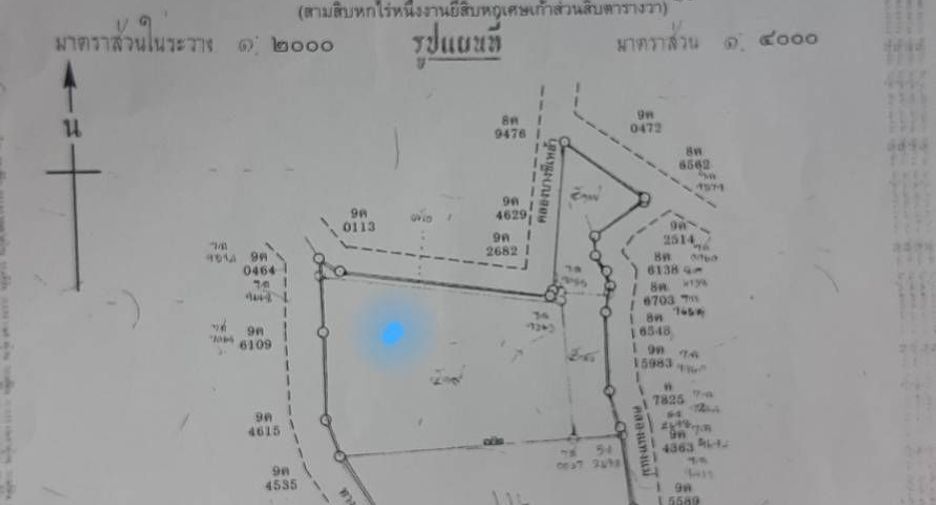 ขาย ที่ดิน ใน เมืองภูเก็ต, ภูเก็ต