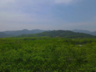 ขาย ที่ดิน ใน ถลาง, ภูเก็ต