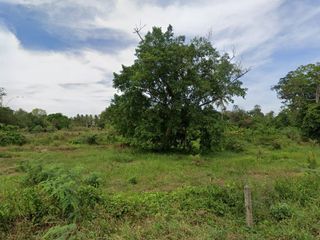 ขาย ที่ดิน ใน ถลาง, ภูเก็ต