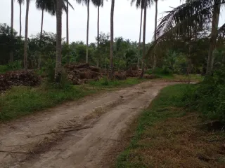 出售 土地 在 塔朗, 普吉