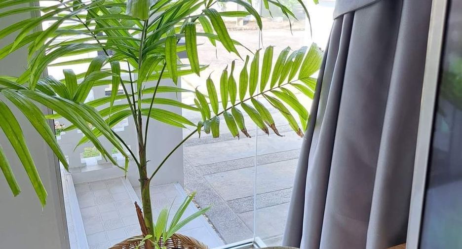For rent 2 bedrooms house in Thalang, Phuket