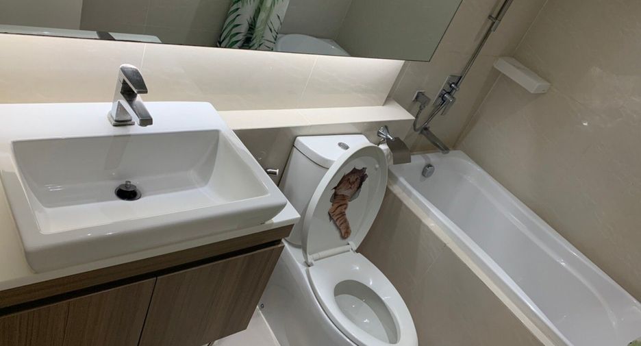 For rent 1 bed condo in Khlong Toei, Bangkok