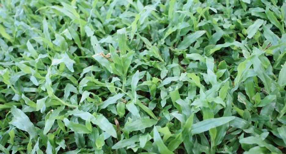 Продажа 3 спальни дом в Лат Пхрао, Бангкок