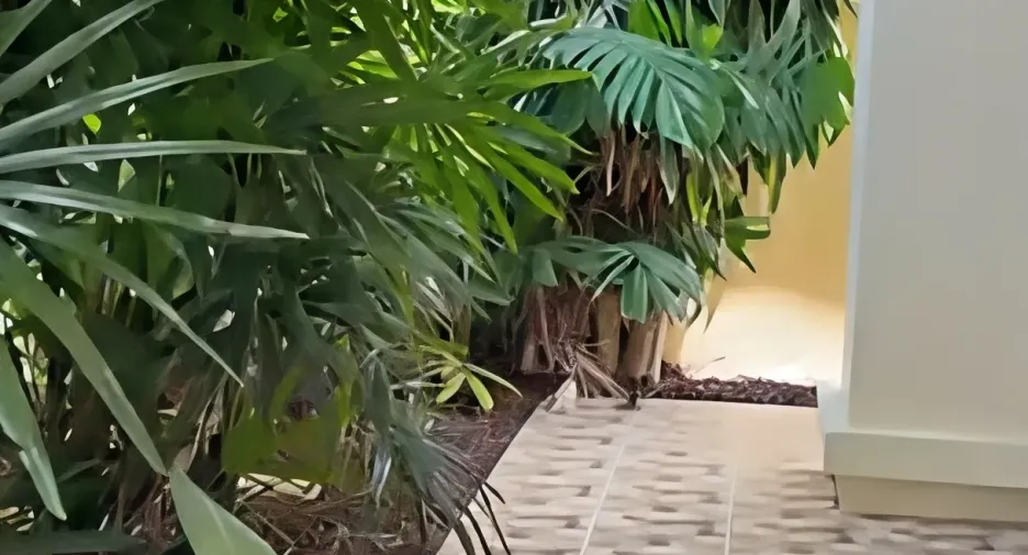 Casa en alquiler de 3 habitaciones en Kathu, Phuket