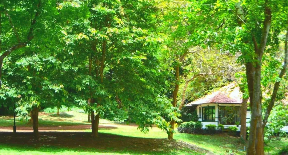 For sale 2 bedrooms house in Phrao, Chiang Mai