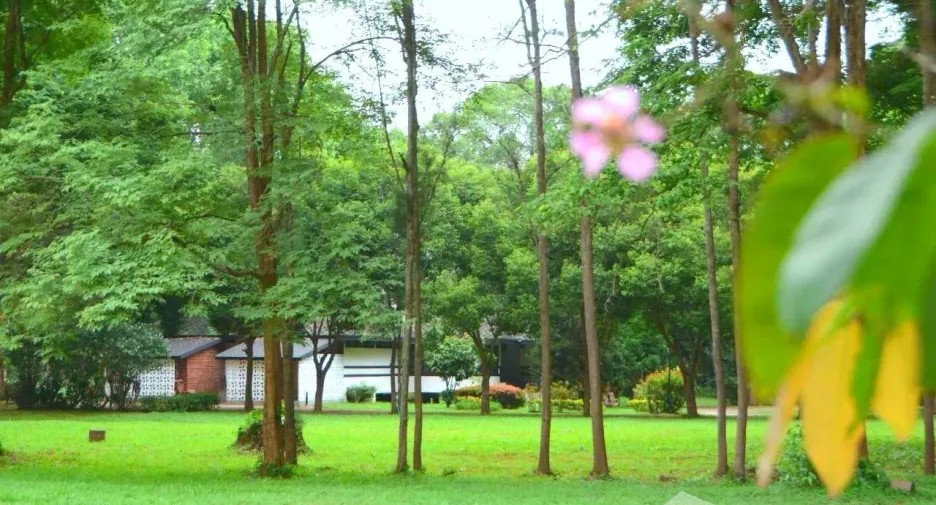 For sale 2 bedrooms house in Phrao, Chiang Mai