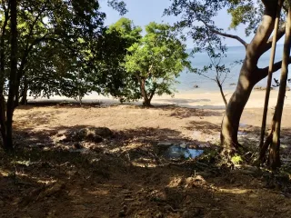 ขาย ที่ดิน ใน เหนือคลอง, กระบี่
