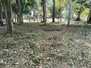 ขาย ที่ดิน ใน เหนือคลอง, กระบี่