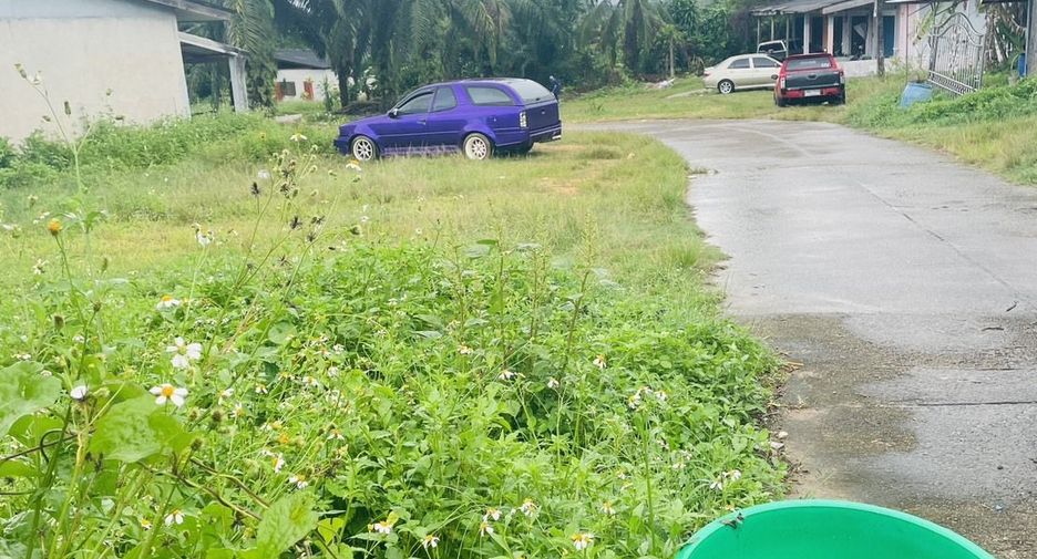 For sale land in Ao Luek, Krabi
