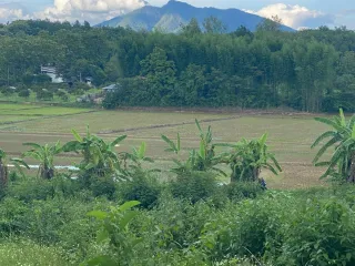 For sale land in Thoeng, Chiang Rai