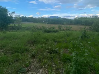 For sale land in Thoeng, Chiang Rai
