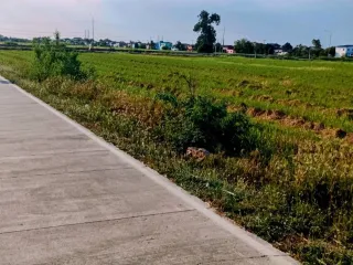出售 土地 在 Lam Luk Ka, Pathum Thani