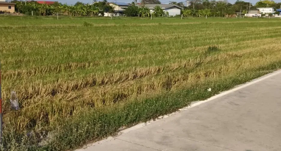 出售 土地 在 Lam Luk Ka, Pathum Thani
