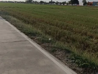 出售 土地 在 Lam Luk Ka, Pathum Thani