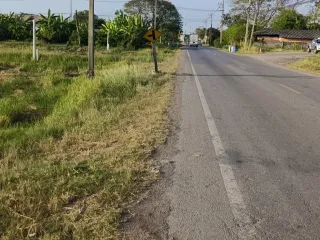 出售 土地 在 Lam Luk Ka, Pathum Thani