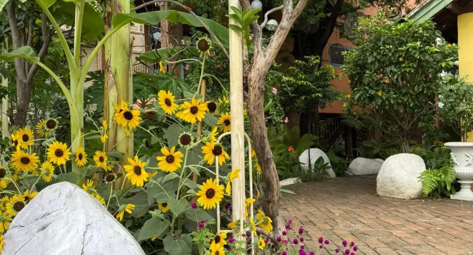 For rent retail Space in Mueang Chiang Mai, Chiang Mai