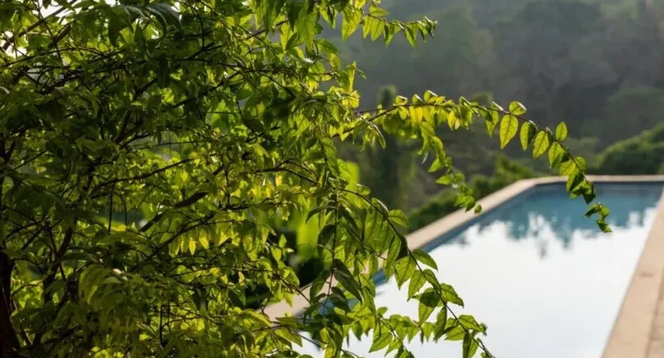 For sale and for rent 1 bed condo in Mueang Phuket, Phuket