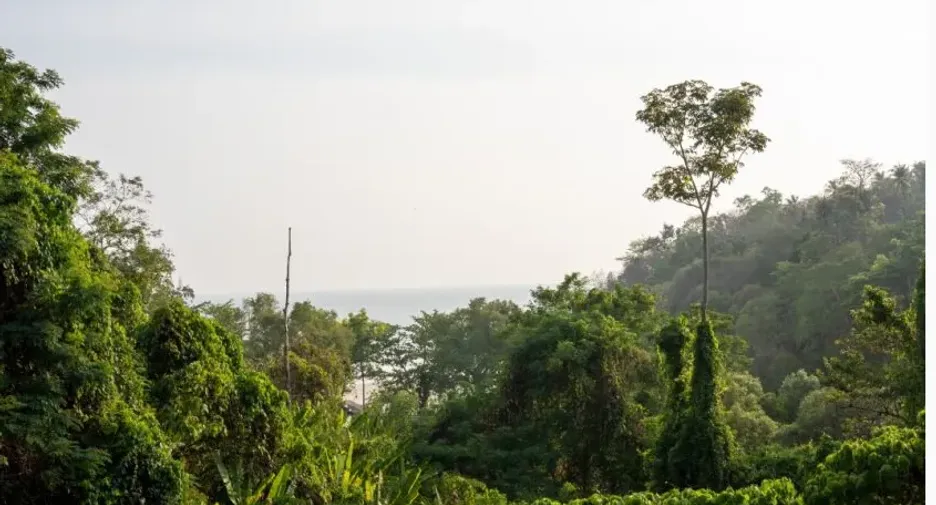 For sale and for rent 1 bed condo in Mueang Phuket, Phuket