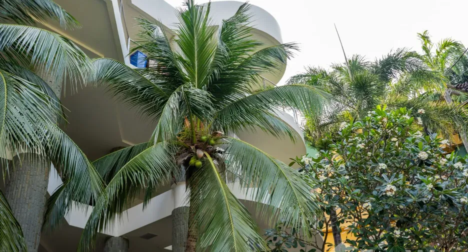 For sale and for rent 1 bed condo in Mueang Phuket, Phuket