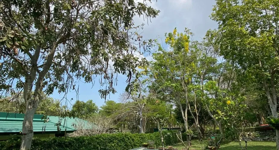 For sale 4 bedrooms villa in Sattahip, Chonburi