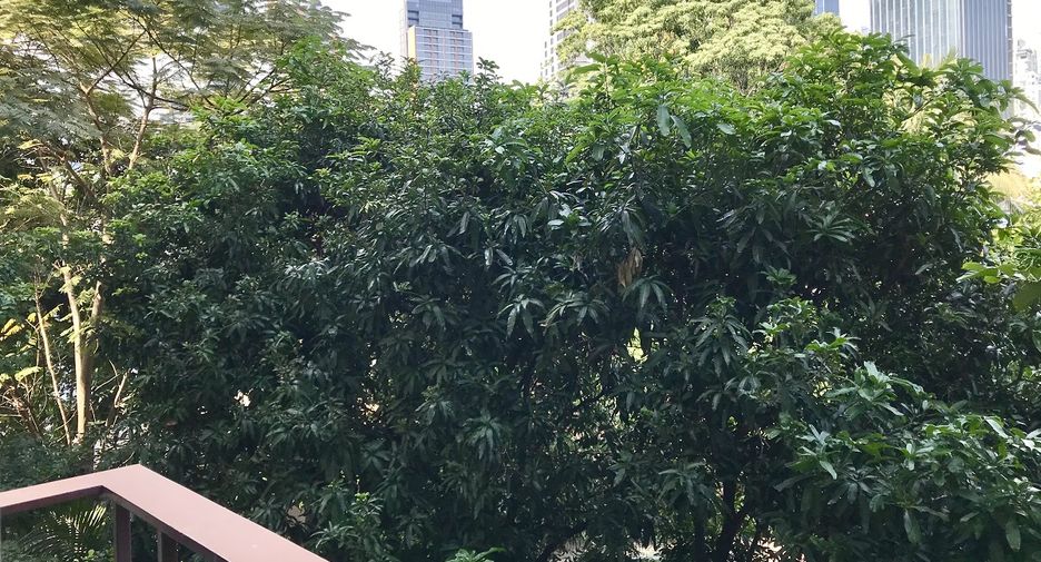 出售 1 卧室 公寓 在 Khlong Toei, 曼谷