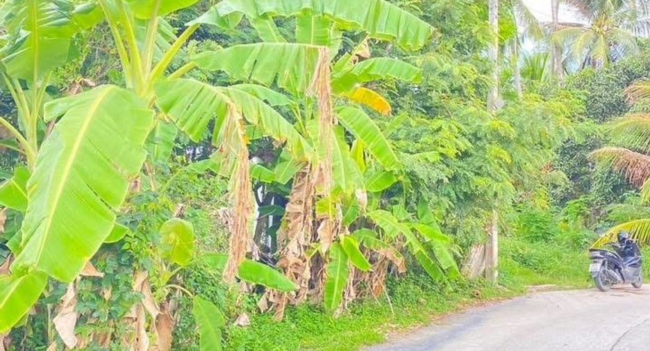 Grundstück zum Kauf in Ko Samui, Surat Thani