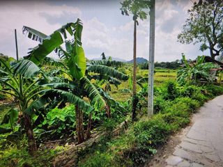 For sale land in Ko Samui, Surat Thani