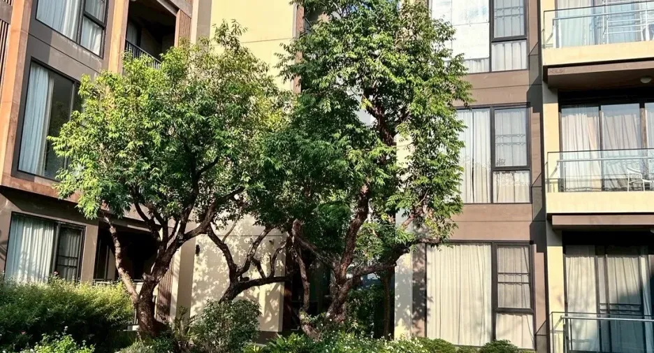À vendre studio condo à Mueang Chiang Mai, Chiang Mai