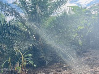 For sale land in Ao Luek, Krabi