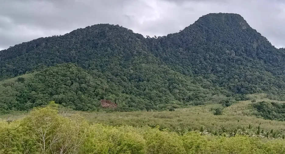 For sale land in Nuea Khlong, Krabi