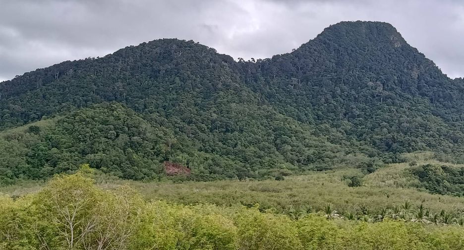 For sale land in Nuea Khlong, Krabi