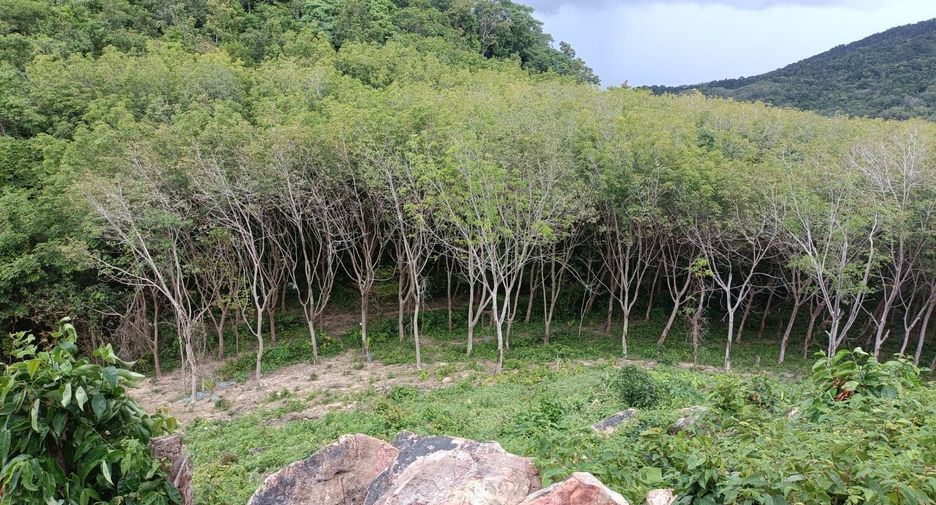 For sale land in Nuea Khlong, Krabi